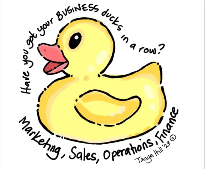 Hand-drawn yellow rubber duck with the words Have you got your business ducks in a row? Marketing, sales, operations, finance.